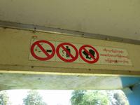 591. Zugfahrt, Yangon, Myanmar