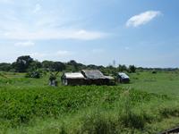 596. Zugfahrt, Yangon, Myanmar