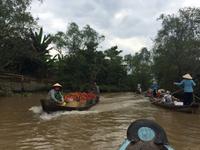 Mekong-Delta