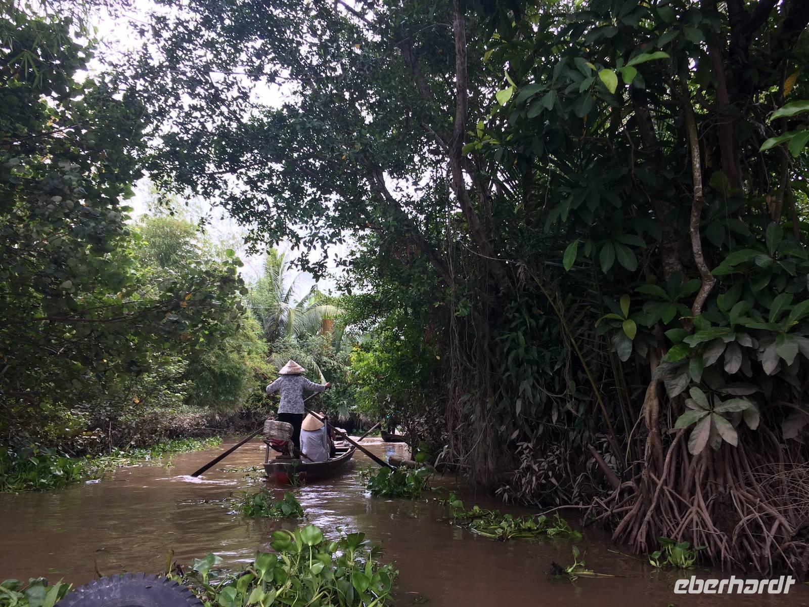 Mekong-Delta mit Mangrovenvegetation