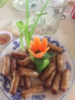 Minifruehlingsrollen