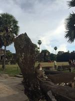 Angkor Wat