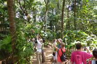 Gewürzgarten Matale