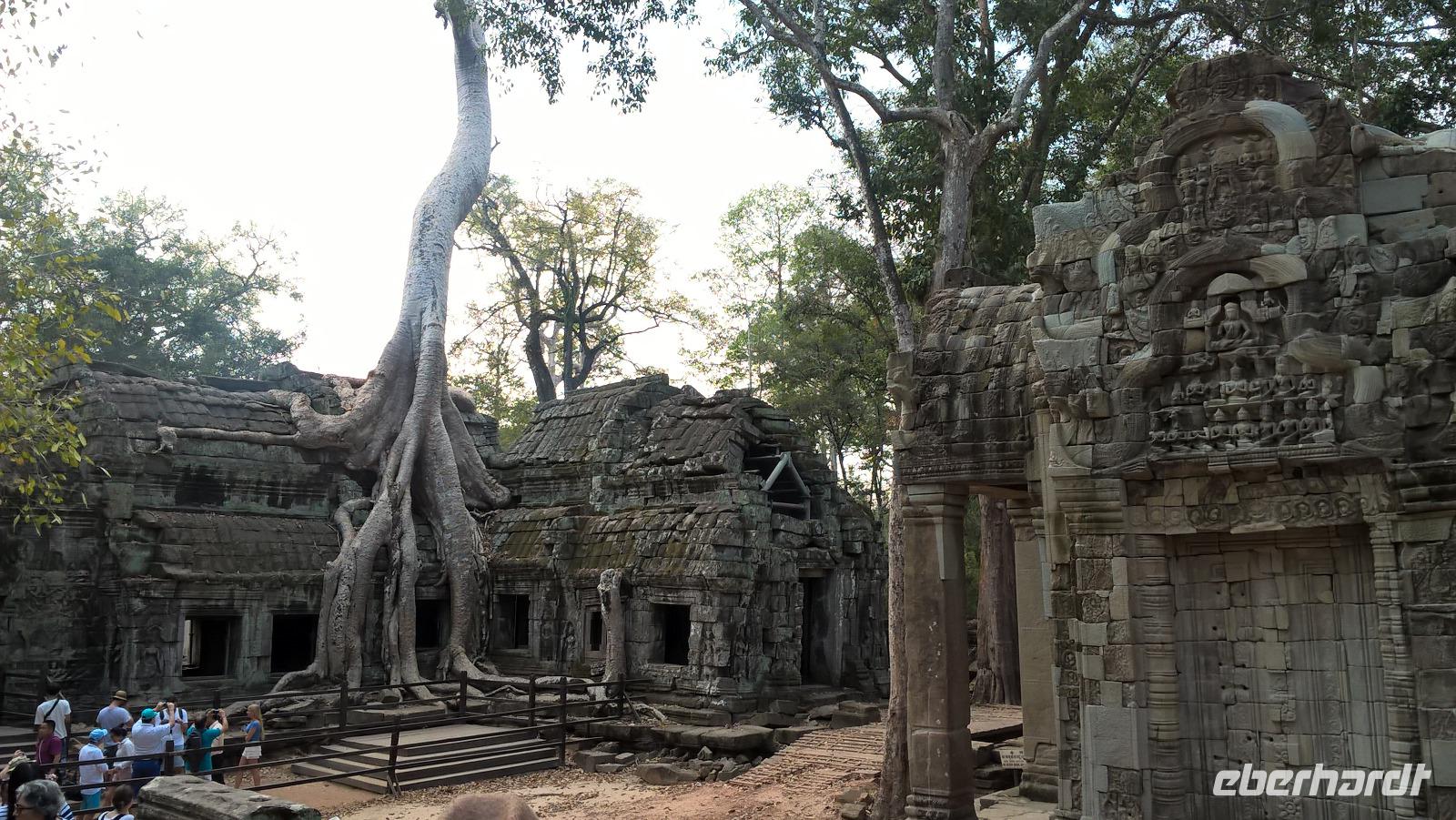 Ta Prohm