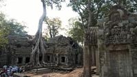 Ta Prohm