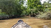 Mekong Delta