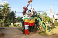 Elefantenritt in Sigirya