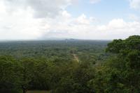Ausblick aus luftiger Höhe vom Sigiriya Löwenfelsen