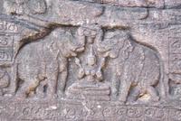 Besichtigung der Königsstadt von Polonnaruwa