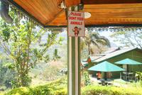 Mittagsrast an den Ramboda Falls 