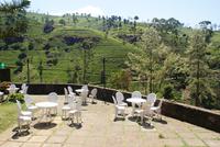 in der Teefabrik Labookellie-Teegenuss mit Aussicht!