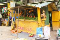 frische Mangos an den Rawana Wasserfällen...