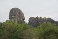 Humans Rock im Yala Park