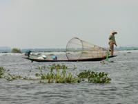 Einbeinfischer auf dem Inlesee