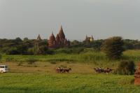 Bagan Nyaung Lat Pat Hügel