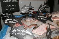 Meeresfrüchteabendessen im Mount Lavinia Colombo