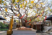 Gangarama Tempel in Colombo