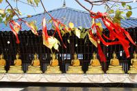 Gangarama Tempel in Colombo