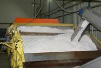 Besichtigung der Kokosfabrik