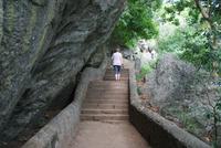 Auf zum Felsentempel von Dambulla