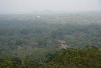 Ausblick aus luftiger Höhe/Sigirya