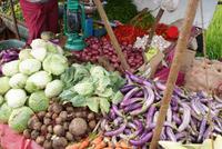 Gemüsestand auf unserer Route