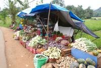 Gemüsestand auf unserer Route