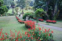 Im Botanischen Garten in Kandy