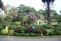 Im Botanischen Garten in Kandy