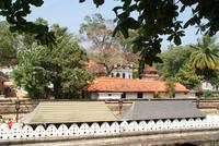 Im Zahntempel von Kandy