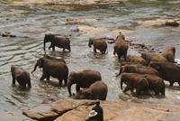 Ein Bad in der Menge