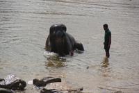 Ein Bad in der Menge