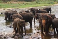 Ein Bad in der Menge