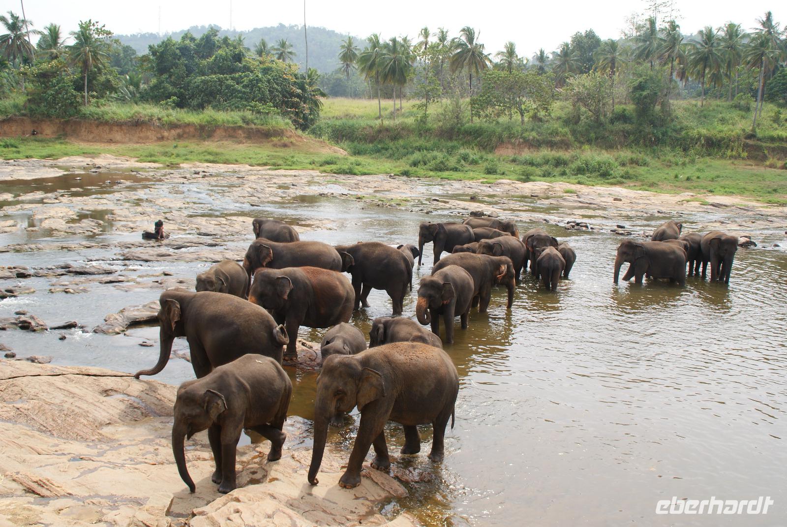 Ein Bad in der Menge