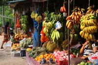 Obststand in Sri Lanka