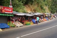 Unterwegs in Sri Lanka