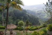 Mittagsstopp am Ramboda Falls Restaurant