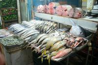 Markthalle in Nuwara Eliya