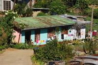 Im Hochland Sri Lankas