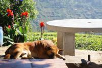 Ein Schläfchen in Ehren...