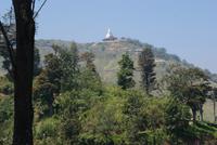 Im Hochland Sri Lankas