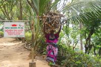 Tamilin beim Holzsammeln