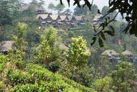 Luxusherberge in Ella