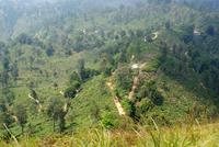 und von dort unten kamen wir her...