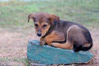 Platz gibt es überall