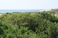 Aussicht vom Hotel am Yala Park