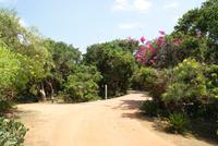 Im Cinnamon Wild Hotel am Yala Park