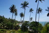 Wunderschöne Küste und Strände Sri Lankas