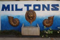 Mittagsstopp im Miltons an der Südküste Sri Lankas