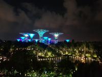 Gardens by the Bay Lichtershow